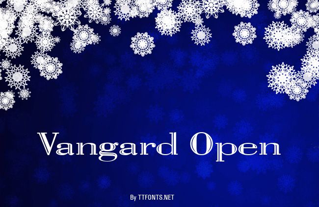 Vangard Open example